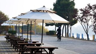 Thumbnail of post image 131